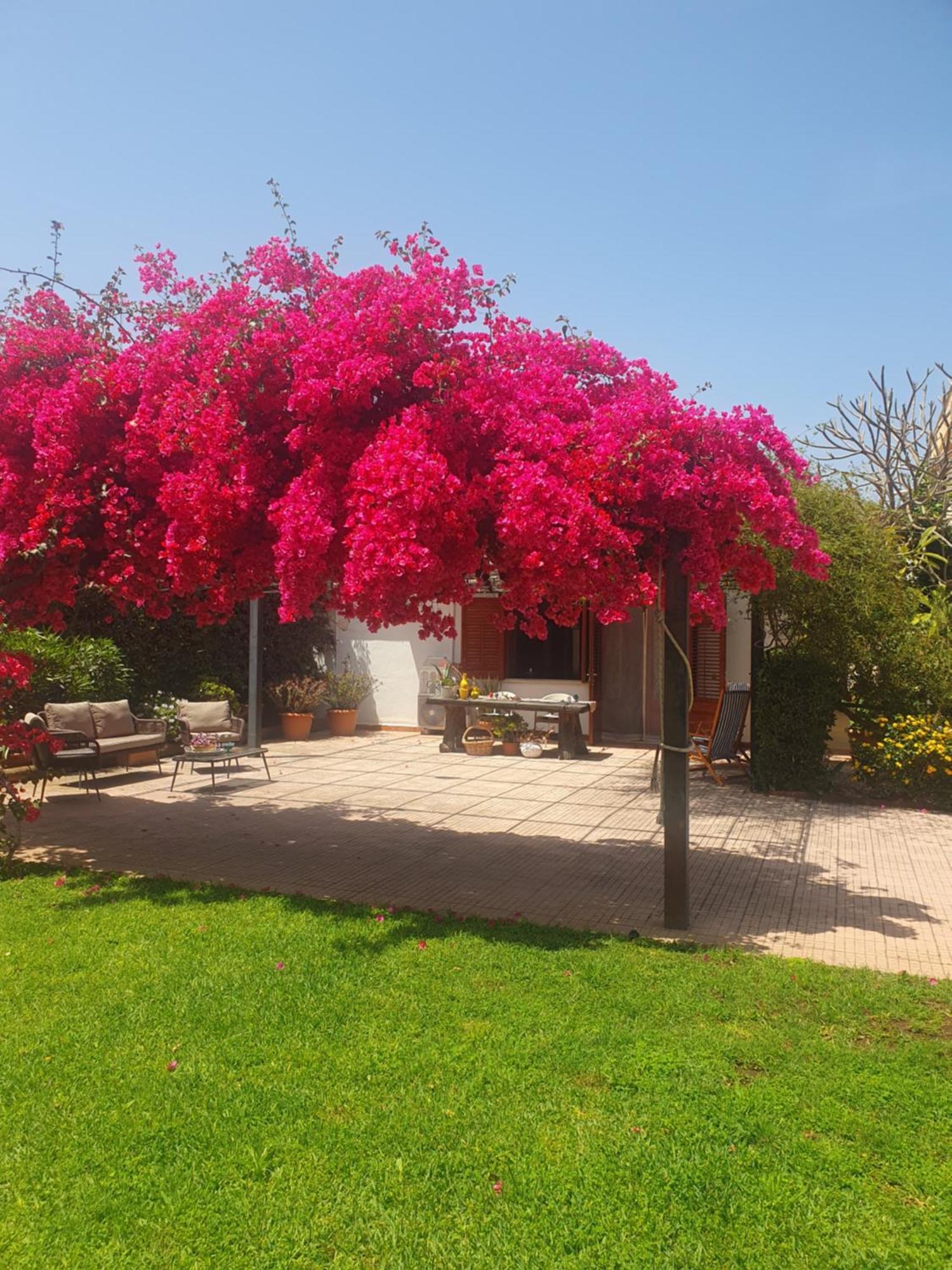 La Depandance Di Villa Rosa Locazioni Brevi Mondello Exterior photo