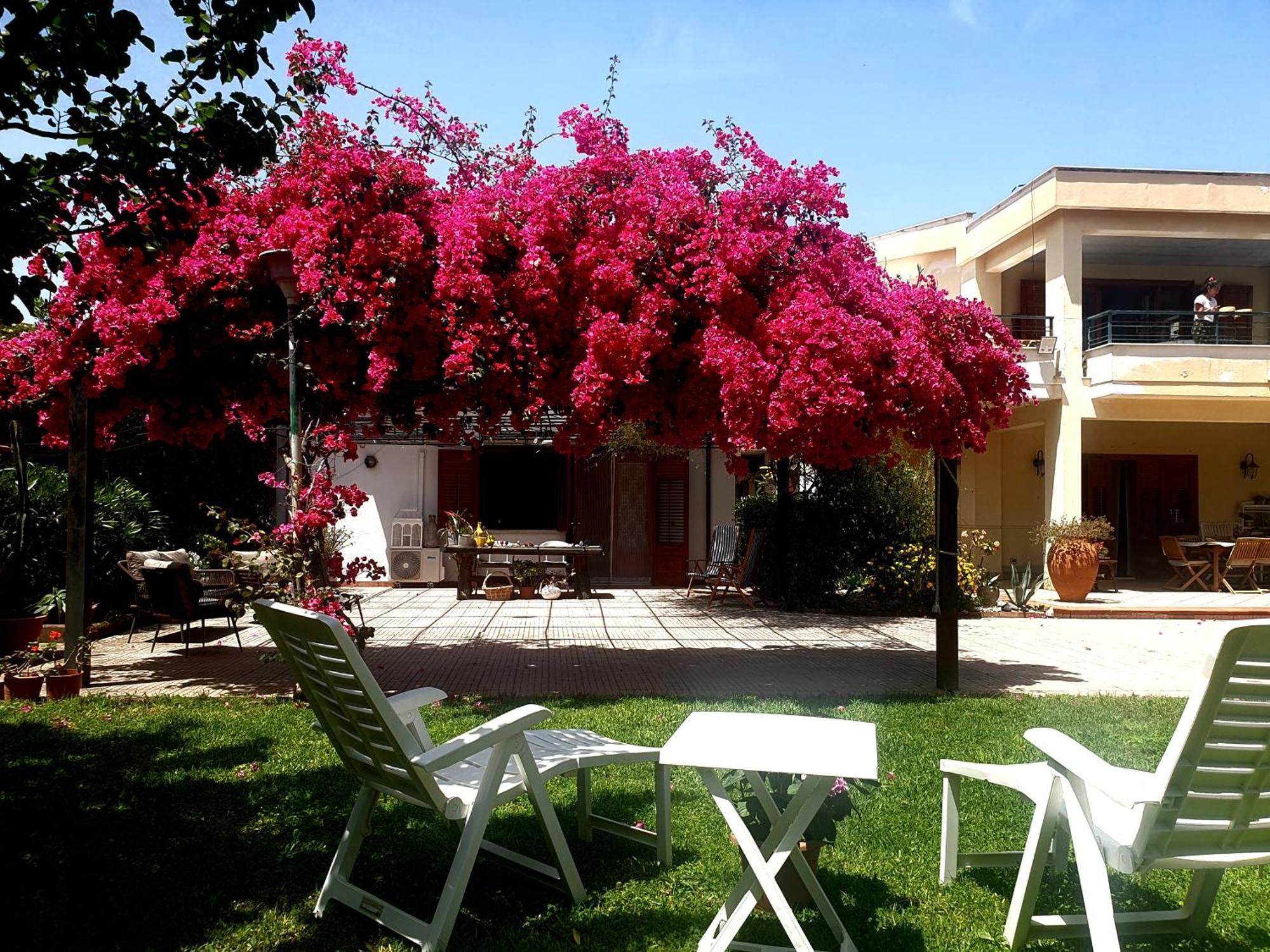 La Depandance Di Villa Rosa Locazioni Brevi Mondello Exterior photo